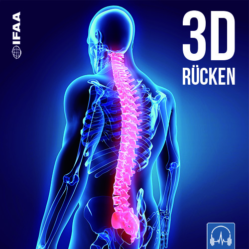 3D Rücken